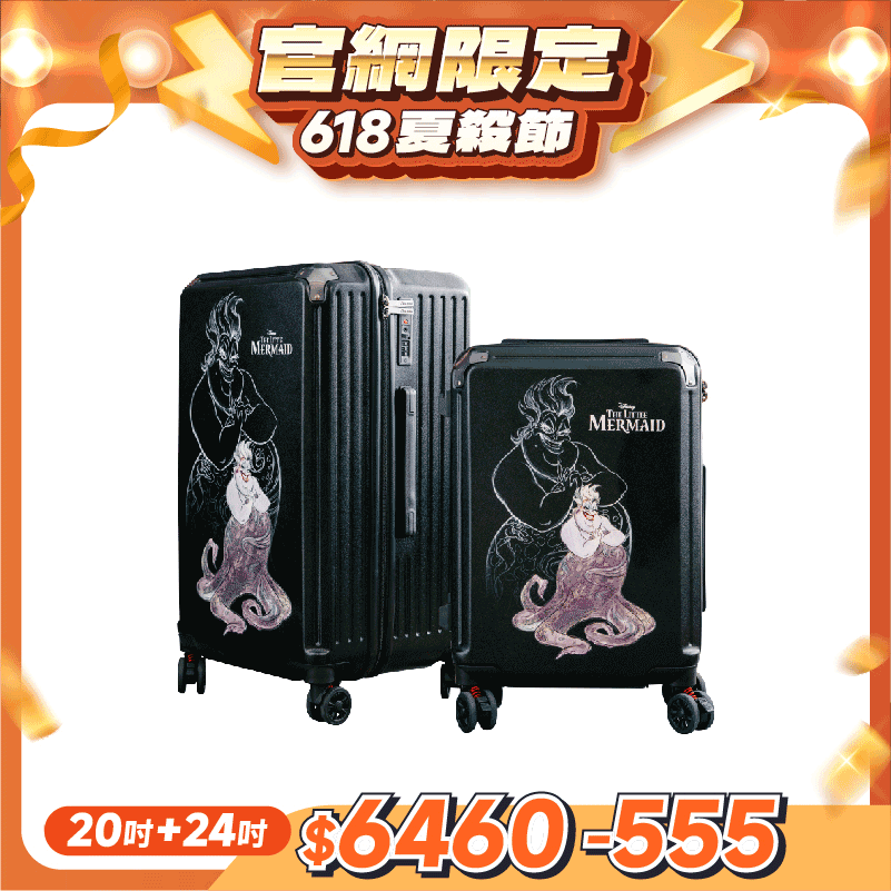 極o能裝-20吋*1+24吋*1