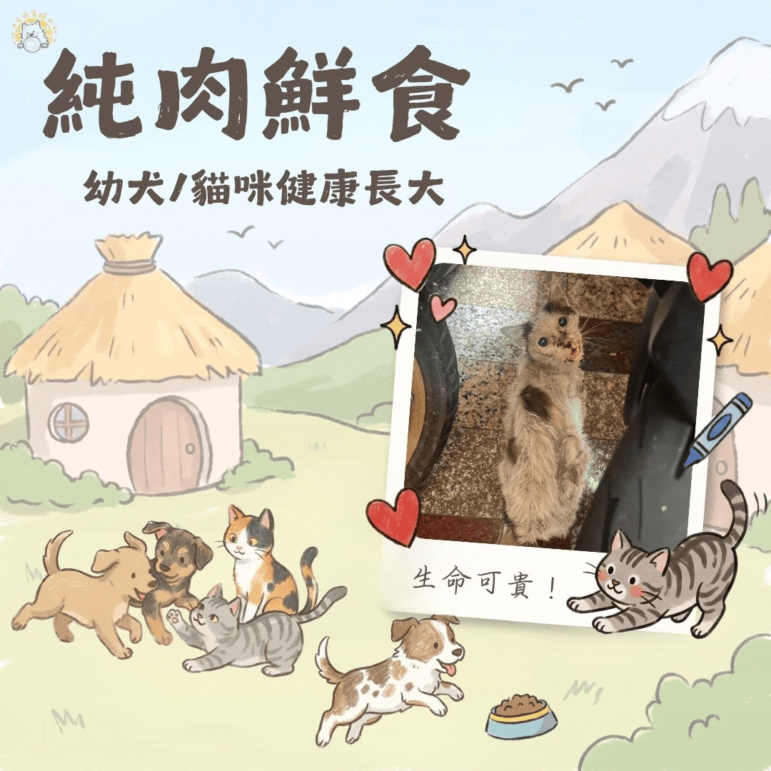 【貓/幼犬】肉泥