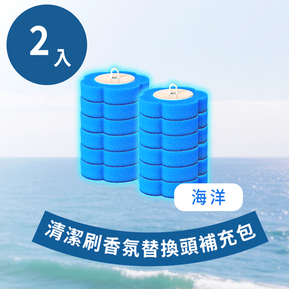 清潔刷替換頭補充包(2入組) 清潔刷替換頭補充包(2入組)