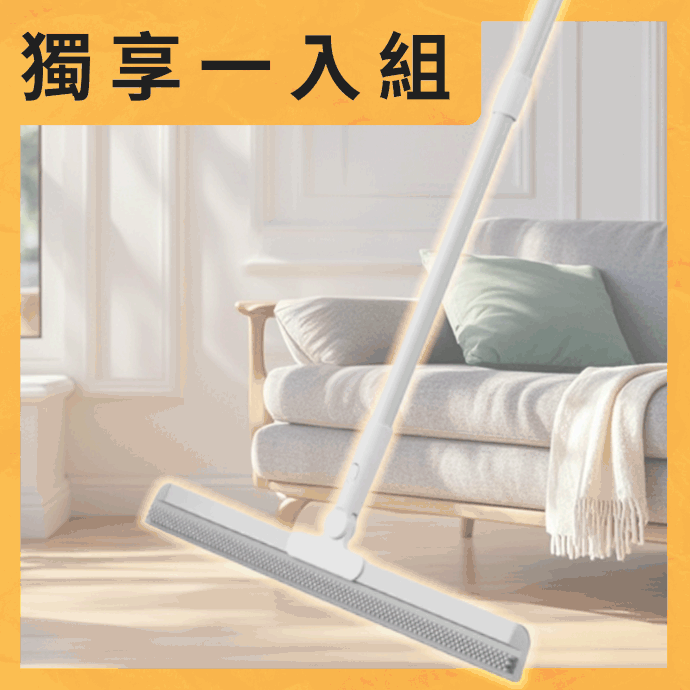 RIMO 多功能魔術掃把 RIMO 多功能魔術掃把