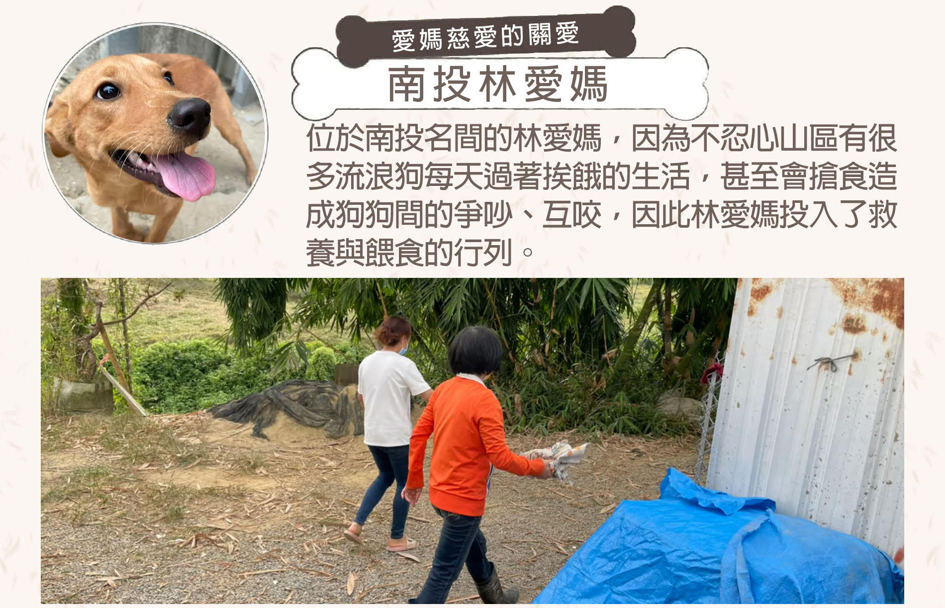 讓浪吃飽-浪浪集食平台