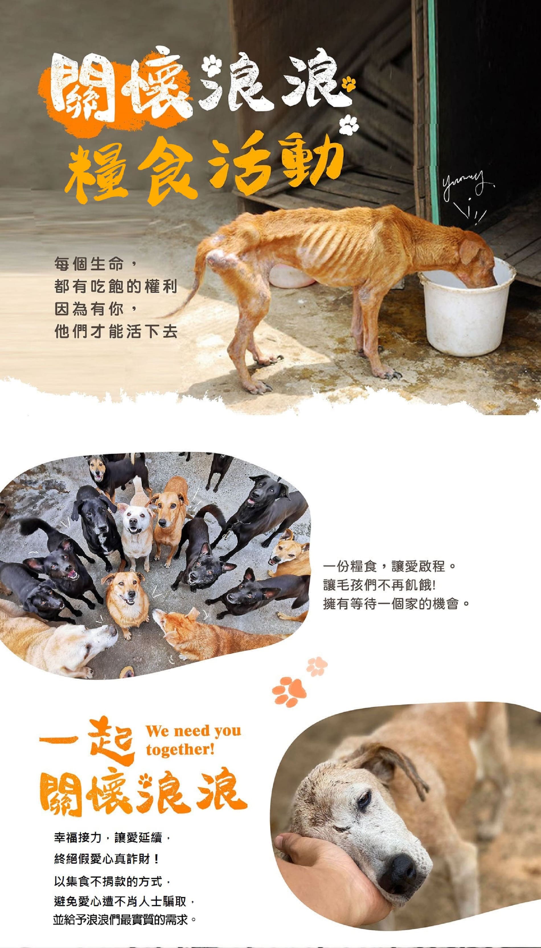 一段精彩绝伦的冒险