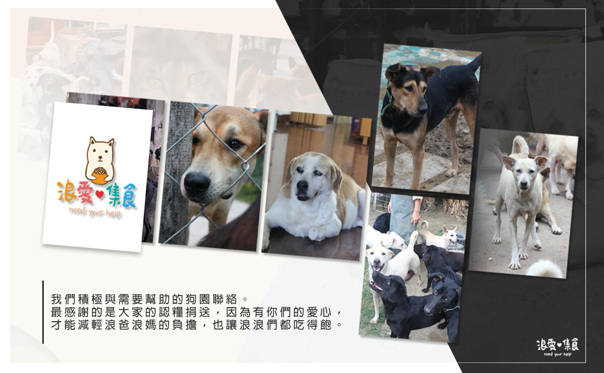 浪愛集食 讓愛延續