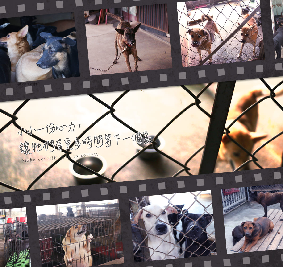 浪愛集食 讓愛延續