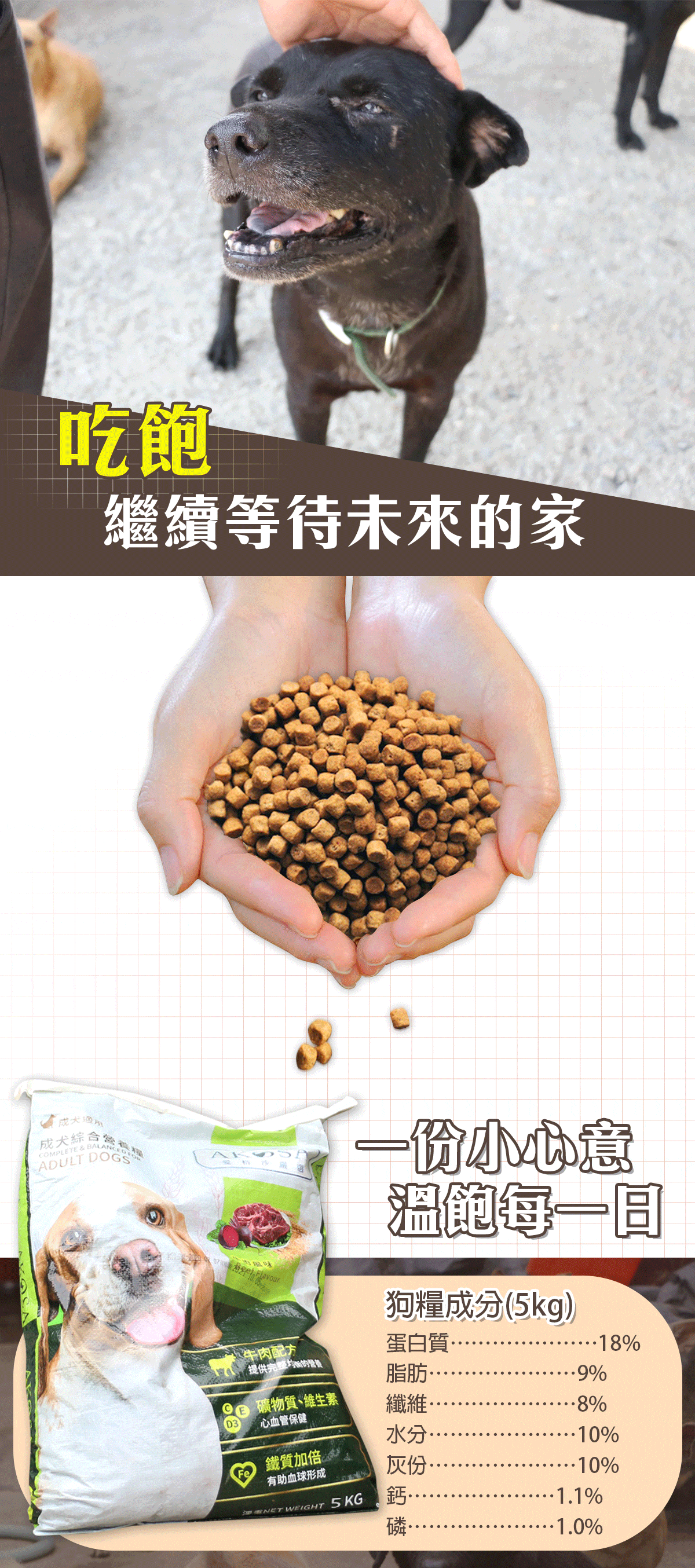 浪愛集食 讓愛延續