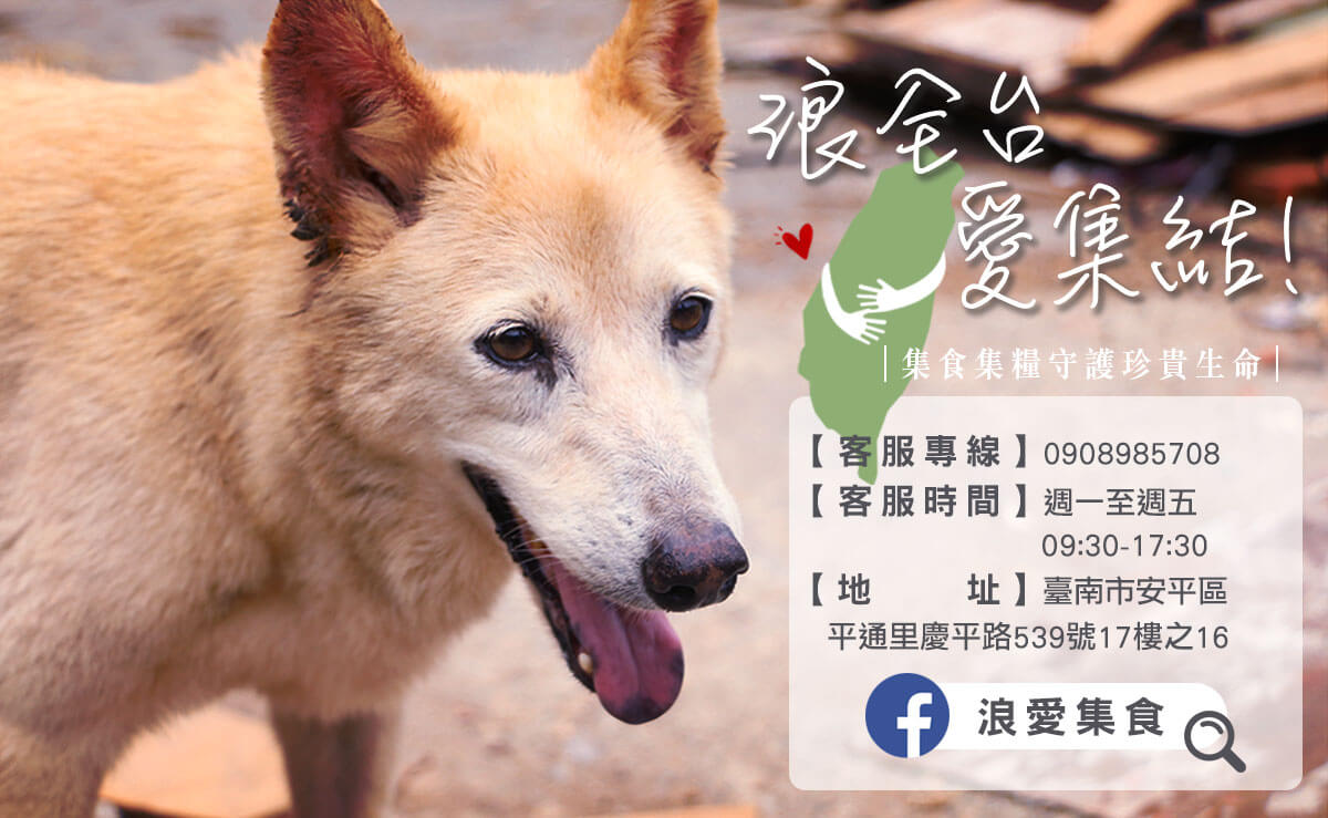 浪愛集食 讓愛延續