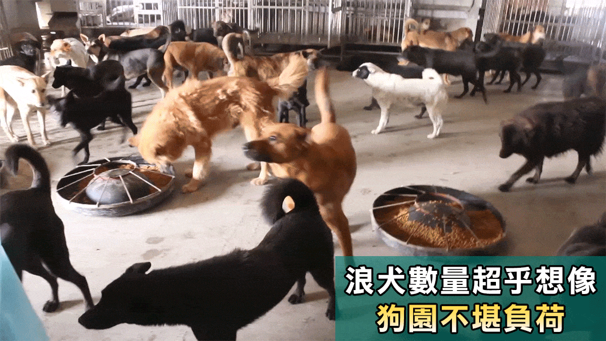 浪愛集食 讓愛延續