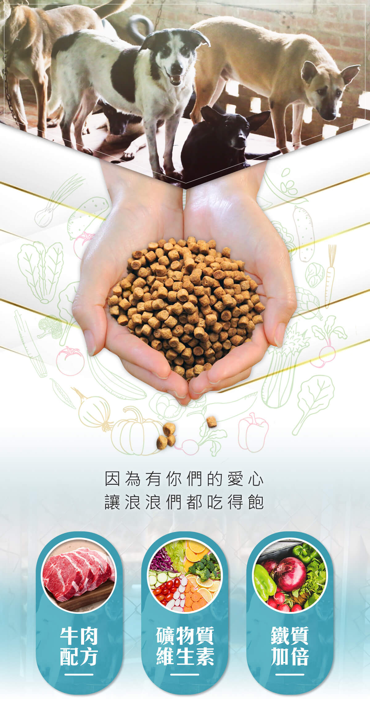 浪愛集食 讓愛延續