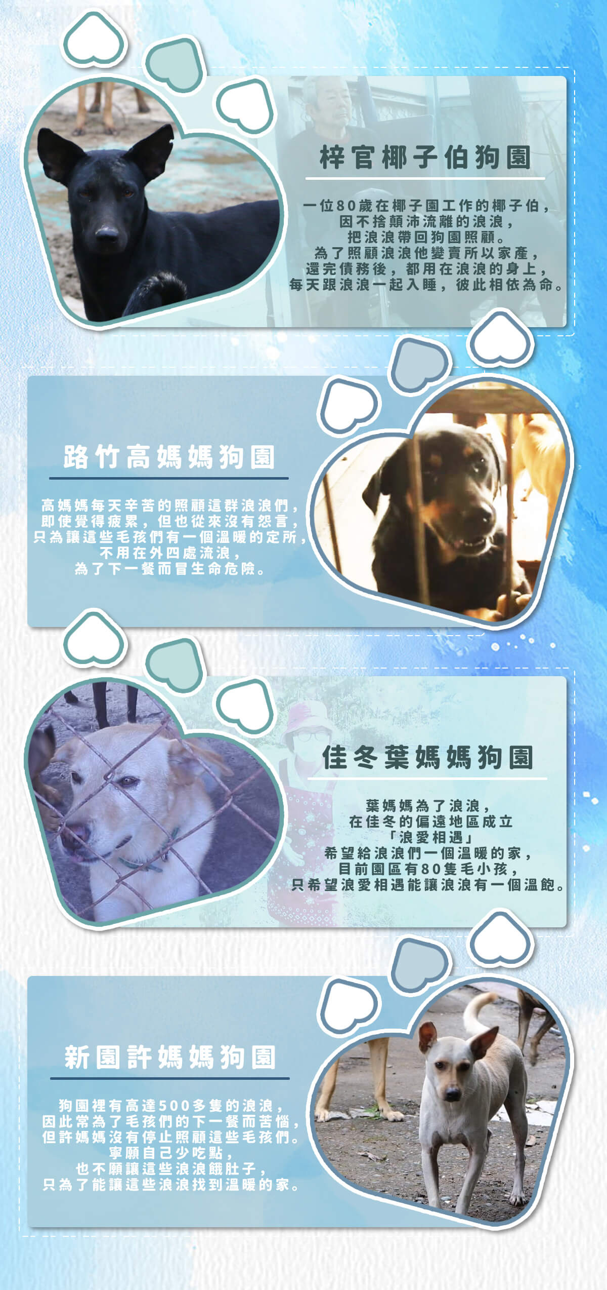 浪愛集食 讓愛延續