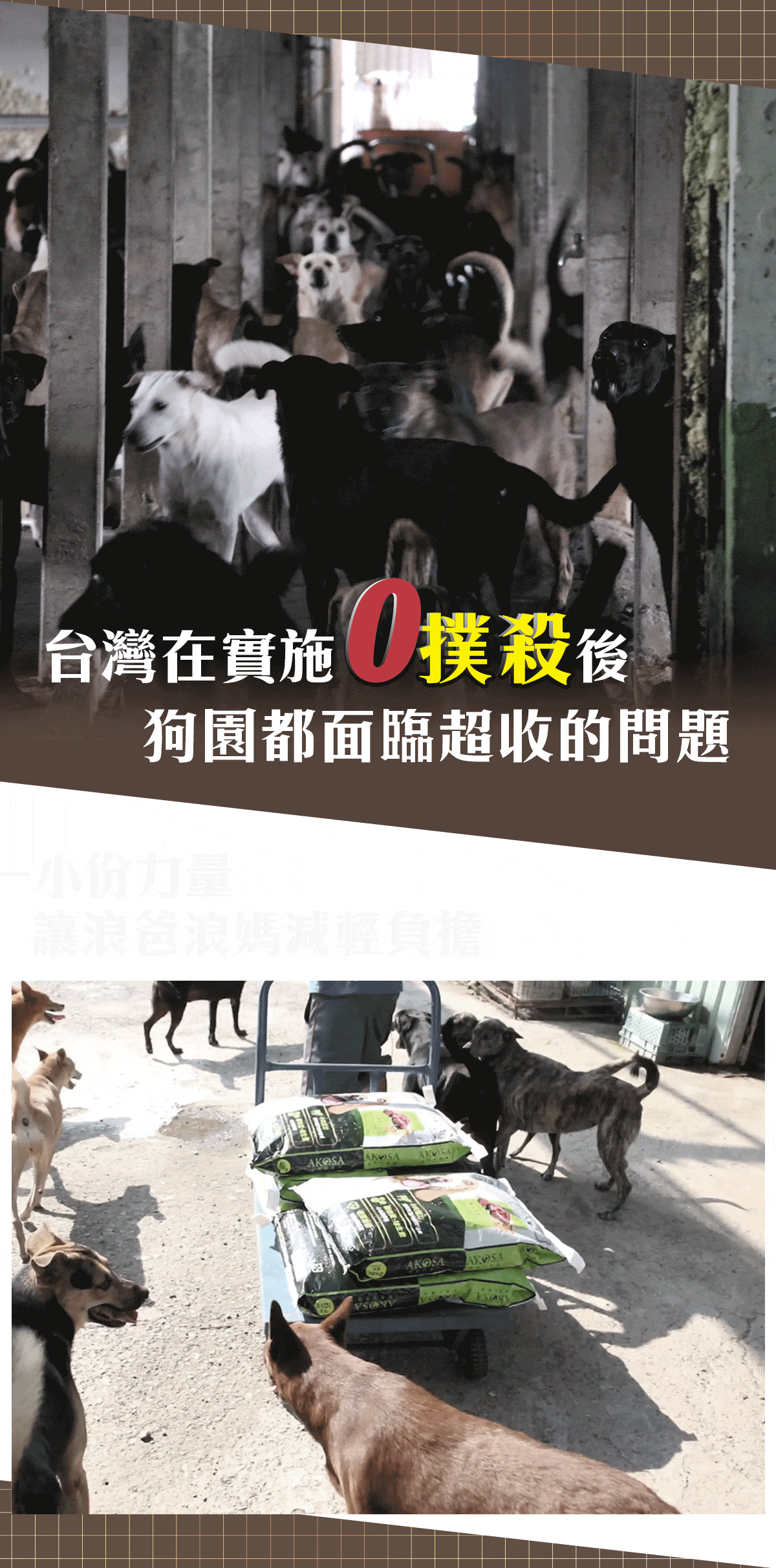 浪愛集食 讓愛延續