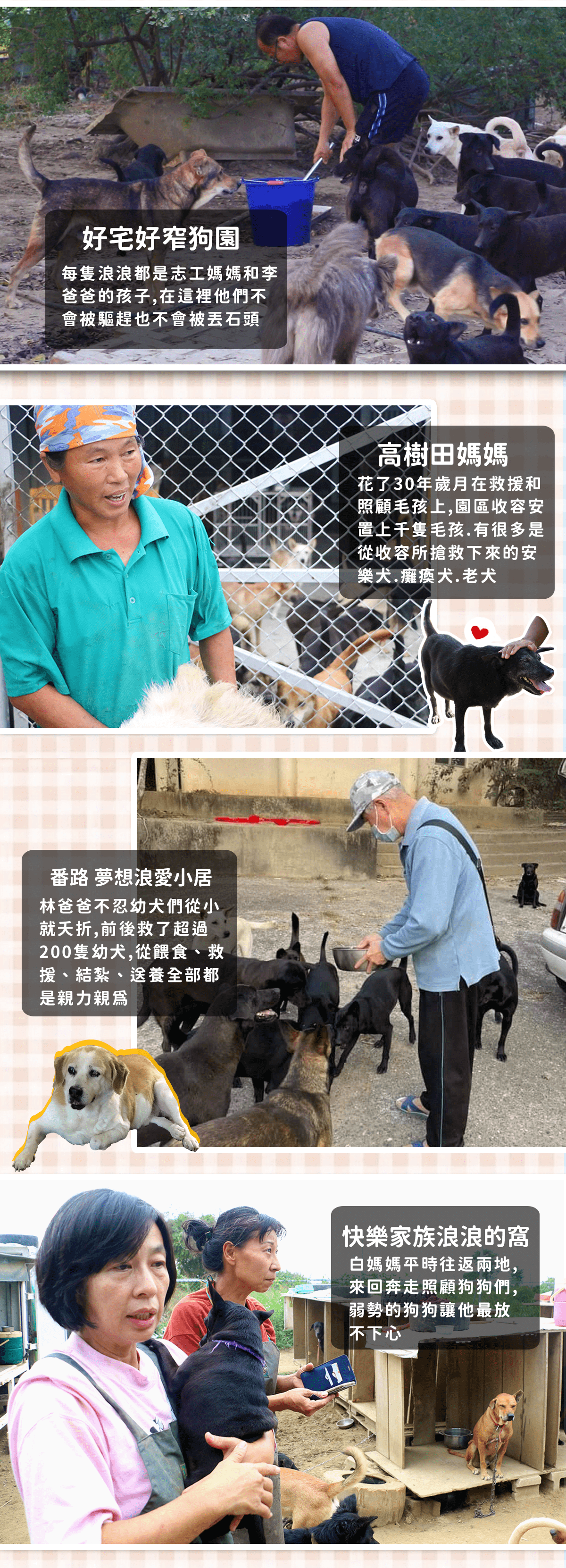 浪愛集食 讓愛延續