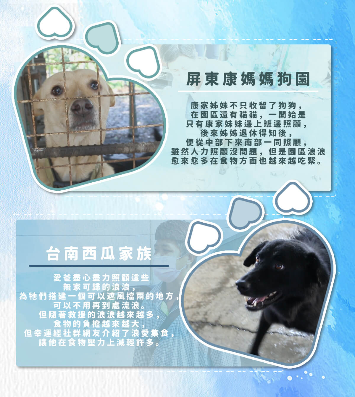 浪愛集食 讓愛延續