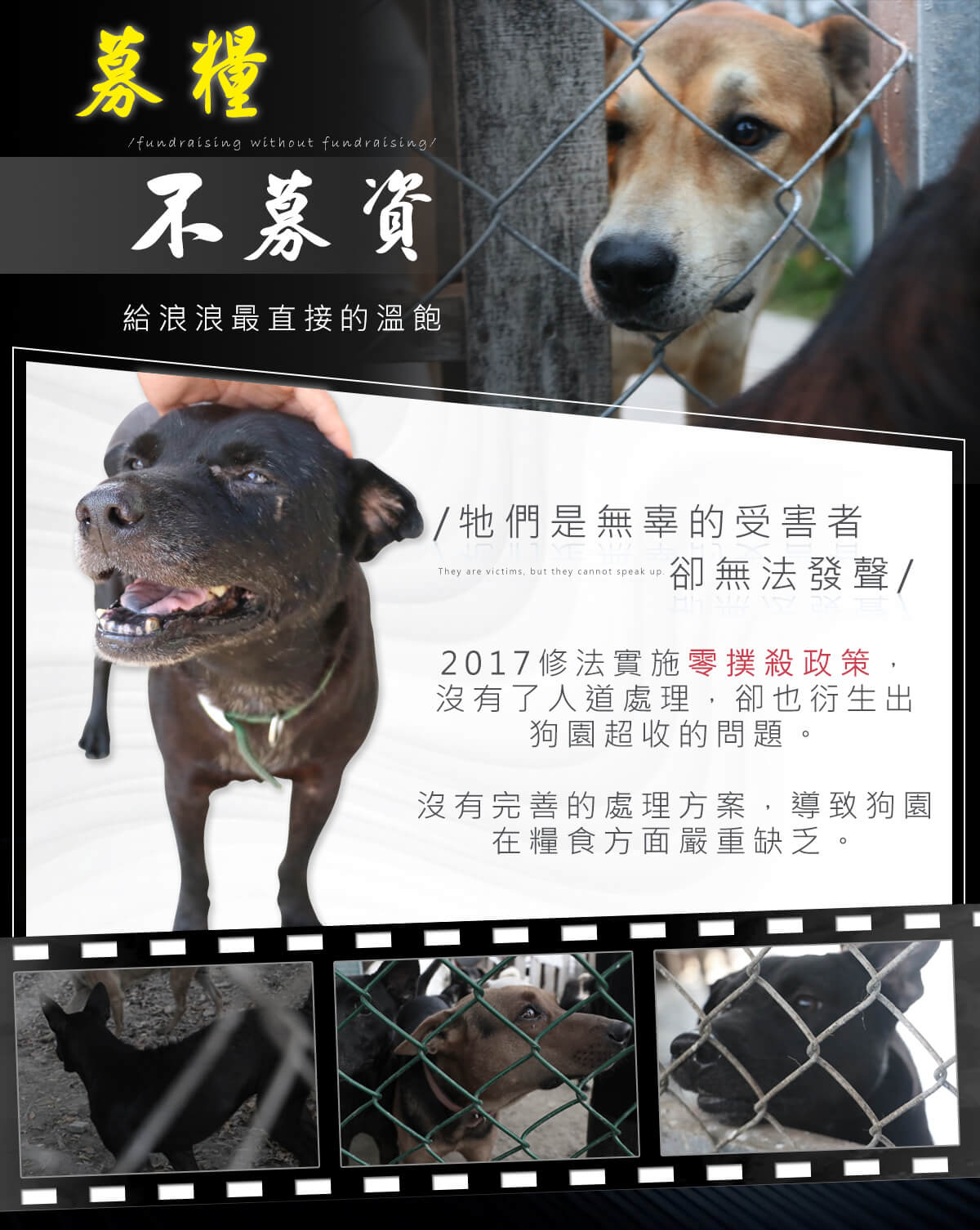 浪愛集食 讓愛延續