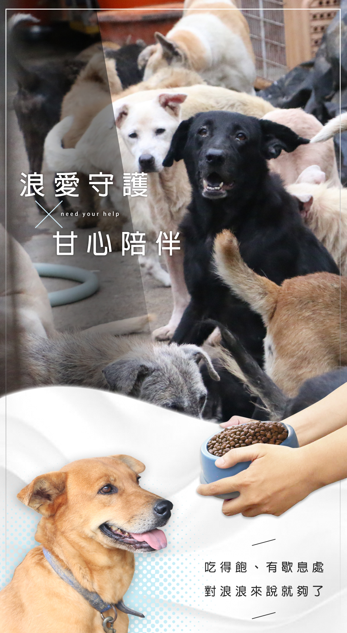 浪愛集食 讓愛延續