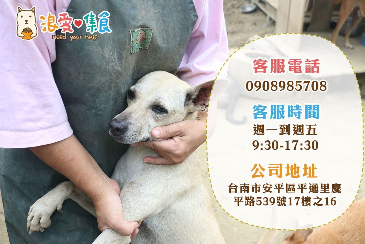 浪愛集食 讓愛延續