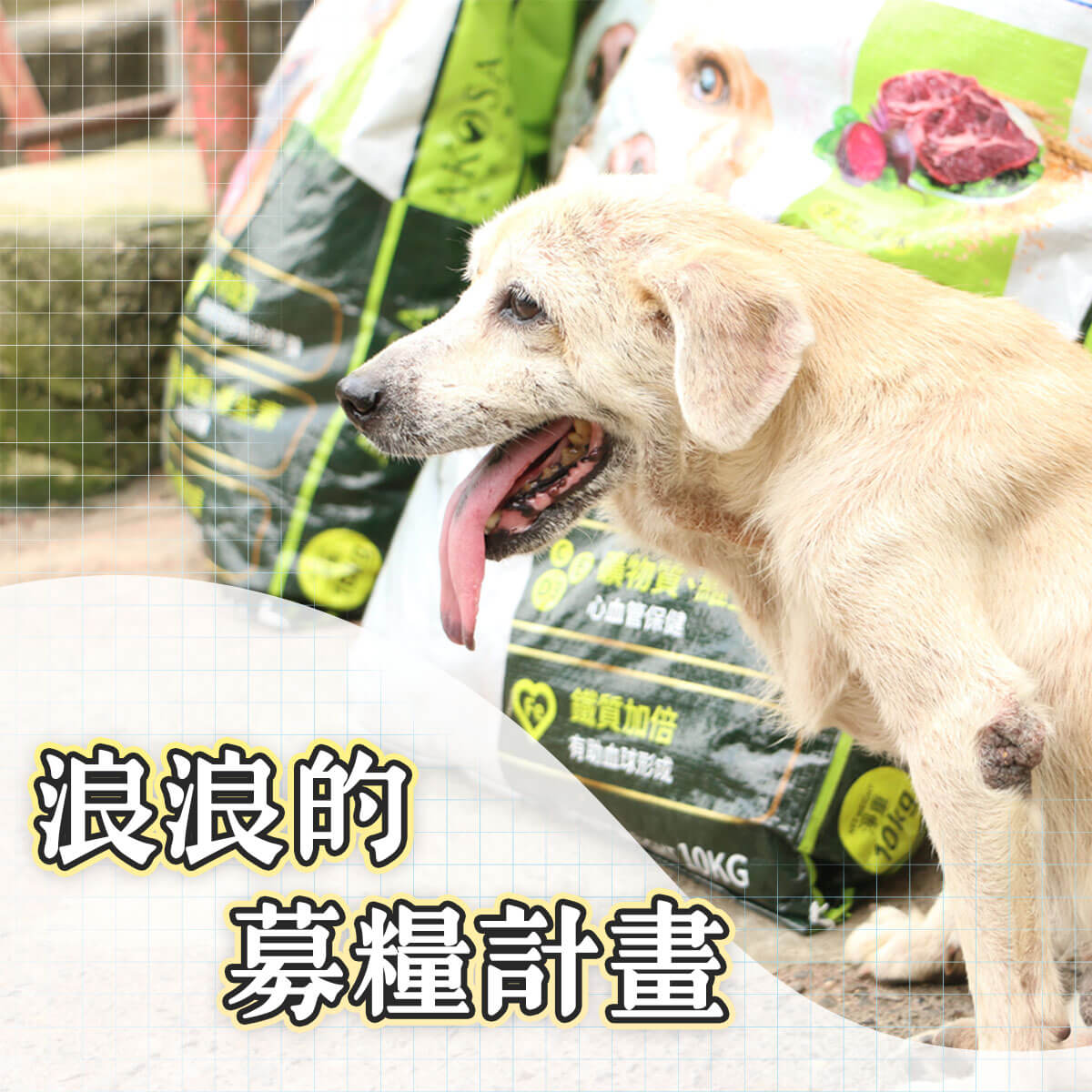 浪愛集食 讓愛延續