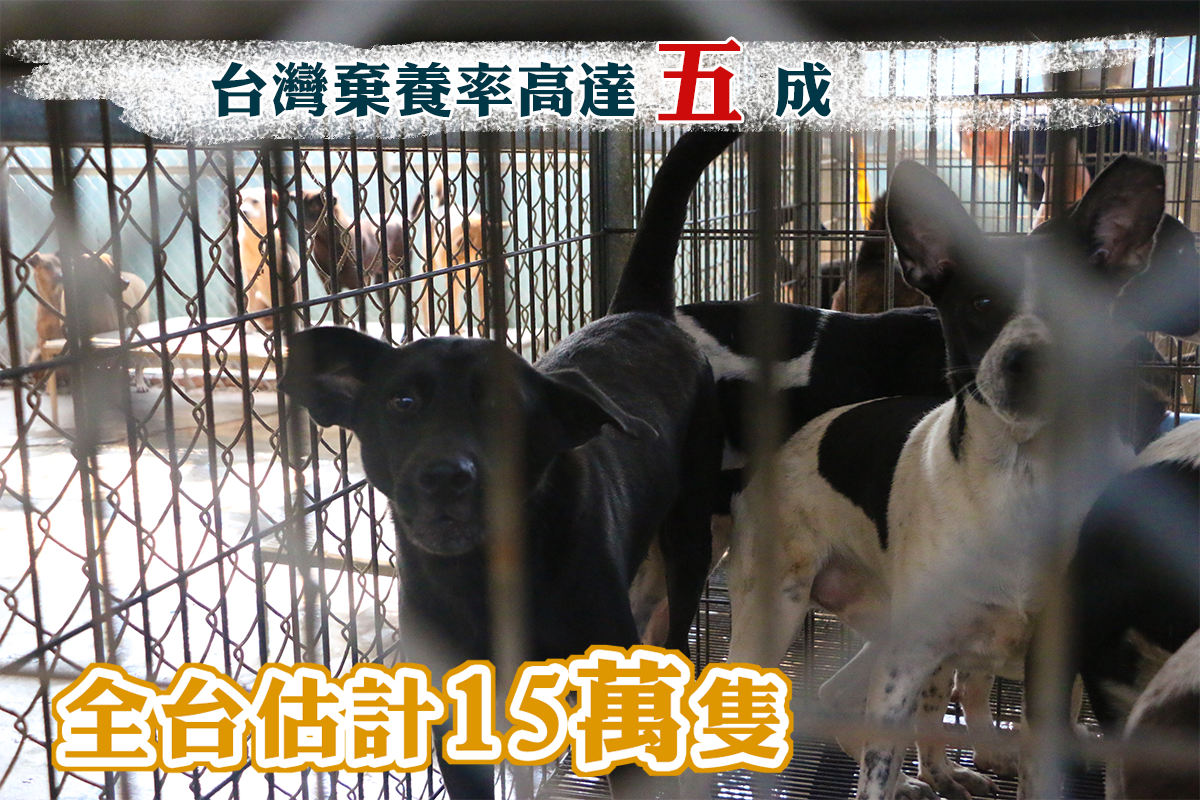 浪愛集食 讓愛延續