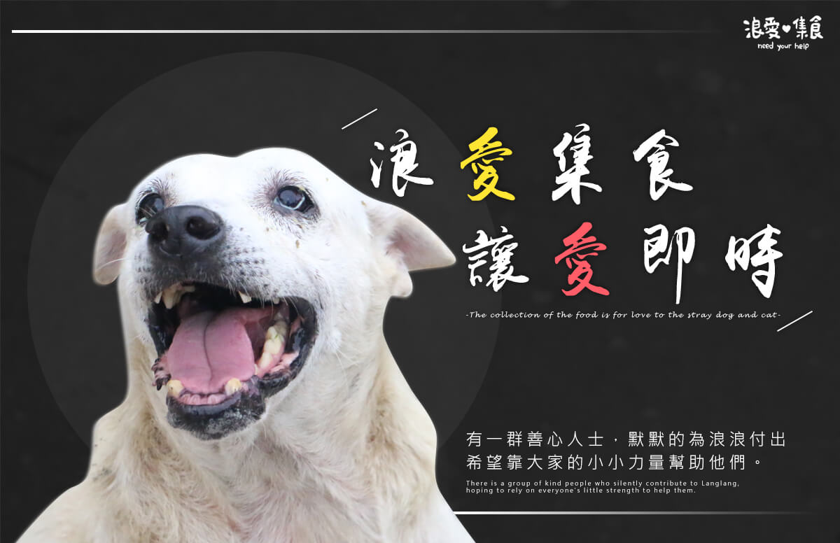 浪愛集食 讓愛延續