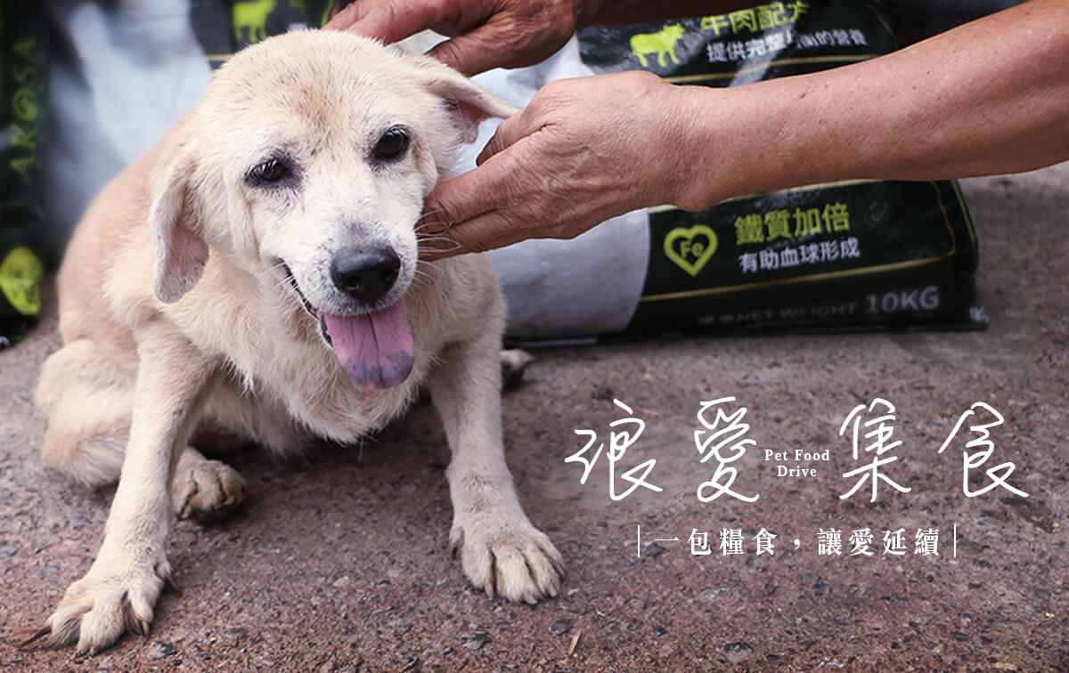 浪愛集食 讓愛延續 浪愛集食 讓愛延續
