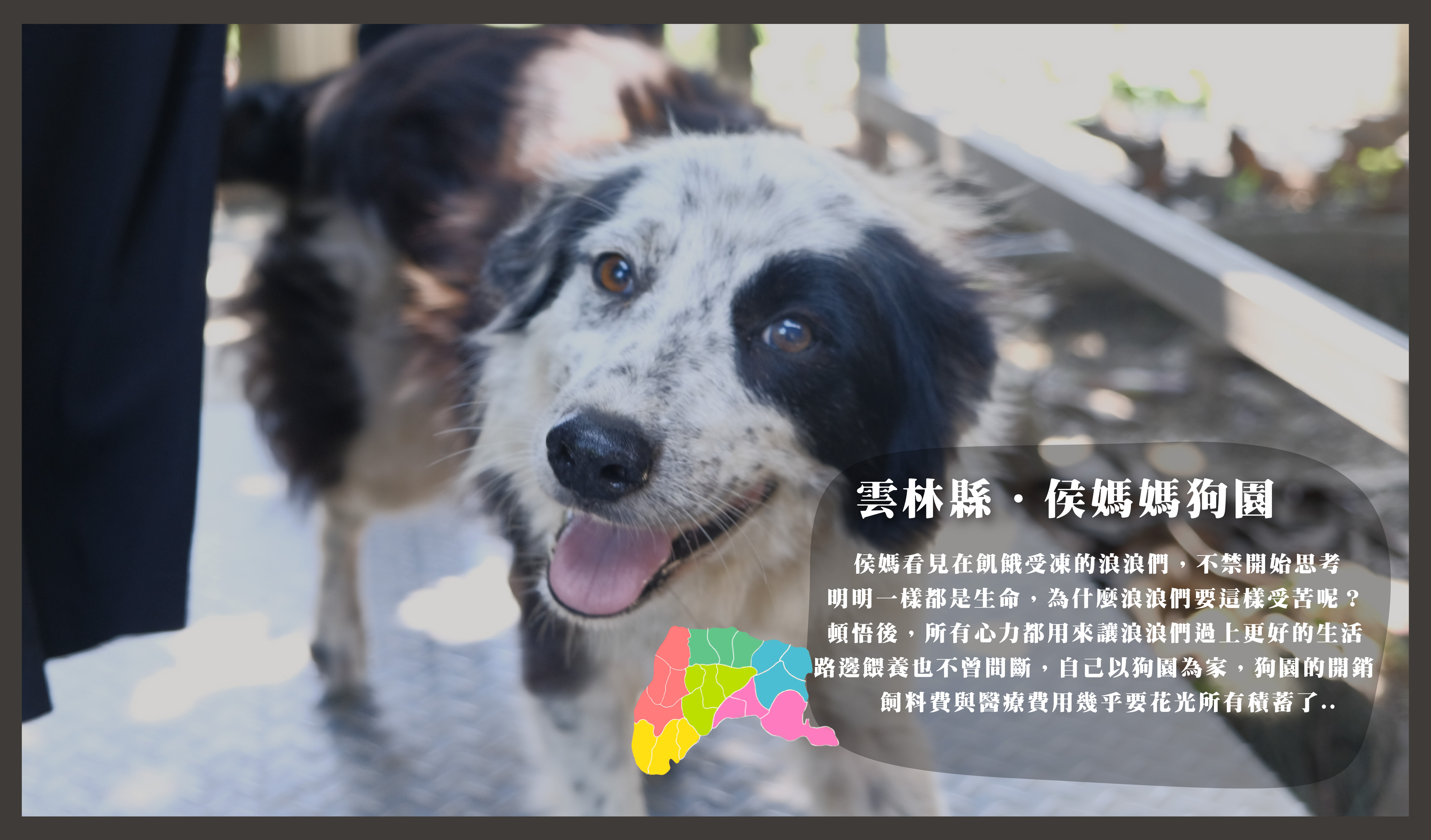 浪愛集食 讓愛延續 浪愛集食 讓愛延續