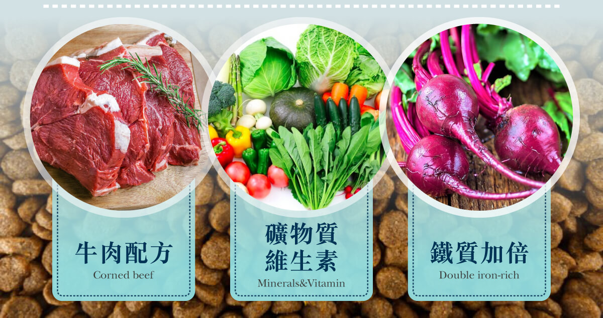 浪愛集食 讓愛延續