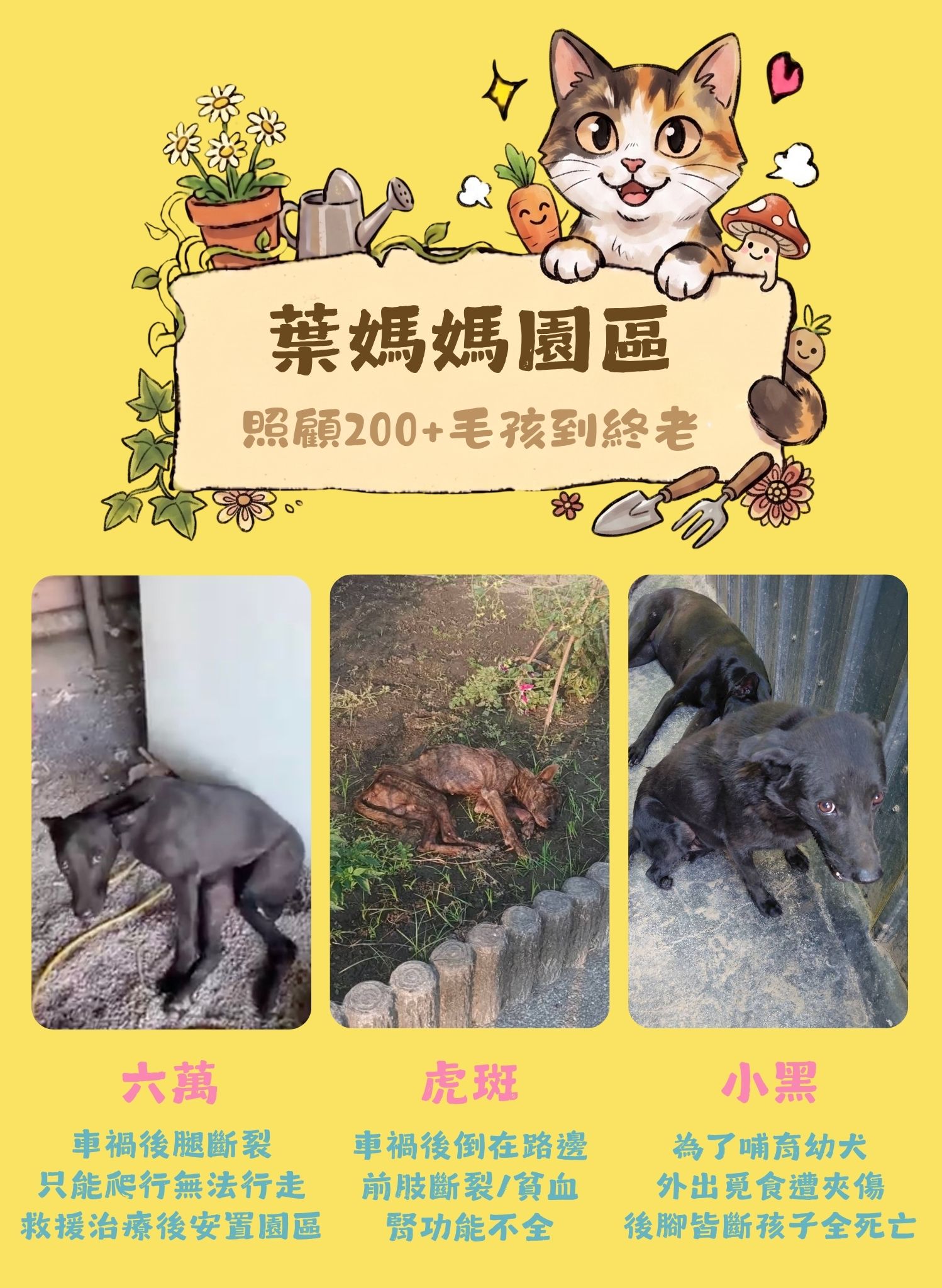 毛孩集糧❤️流浪狗集食計畫