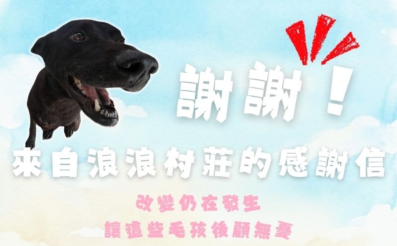 毛孩集糧❤️流浪狗集食計畫