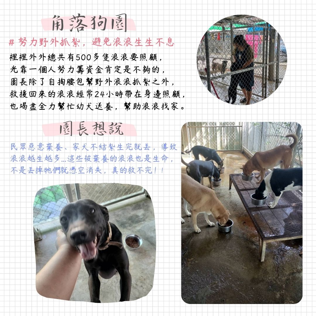 毛孩集糧❤️流浪狗集食計畫