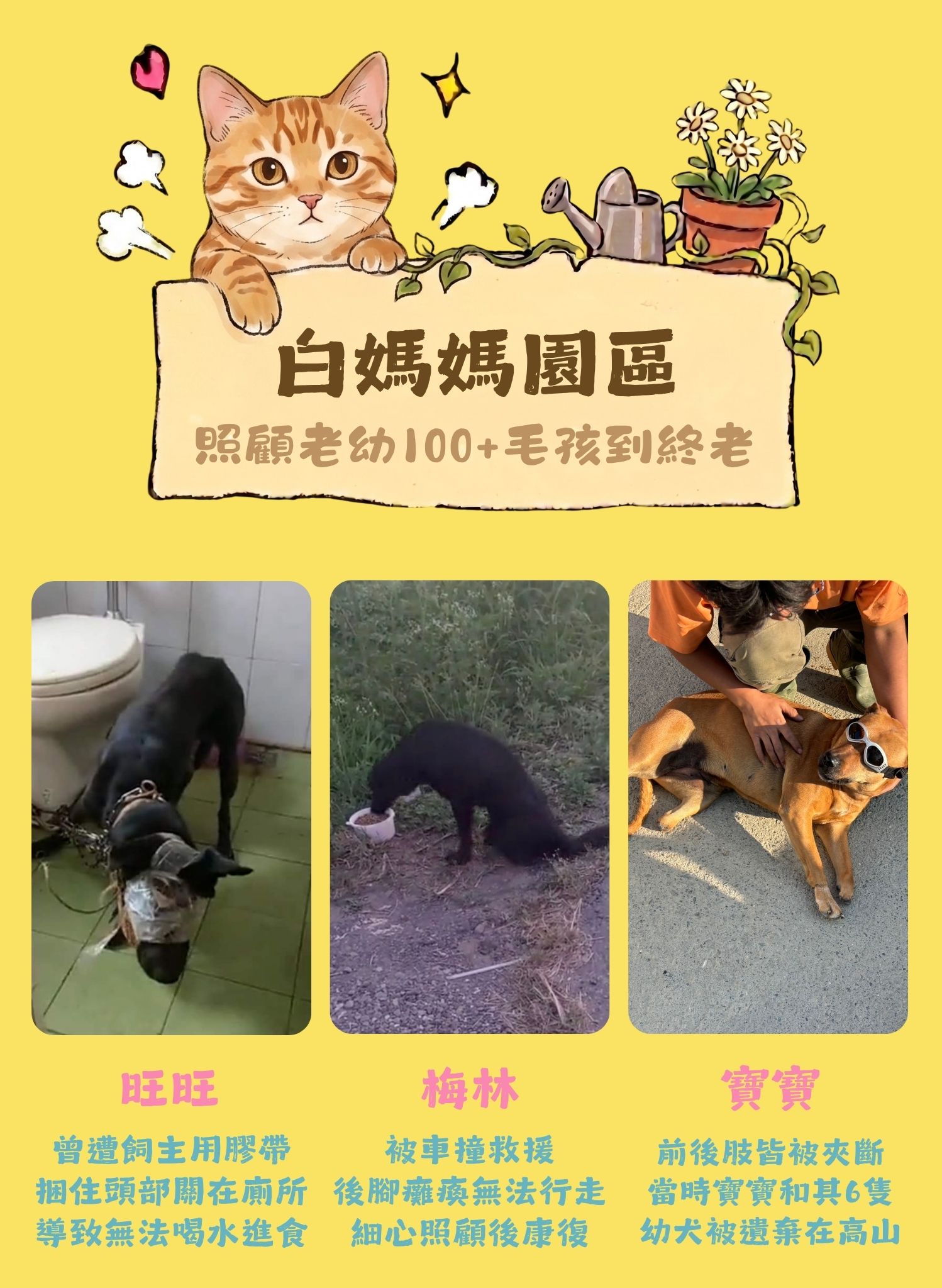 毛孩集糧❤️流浪狗集食計畫
