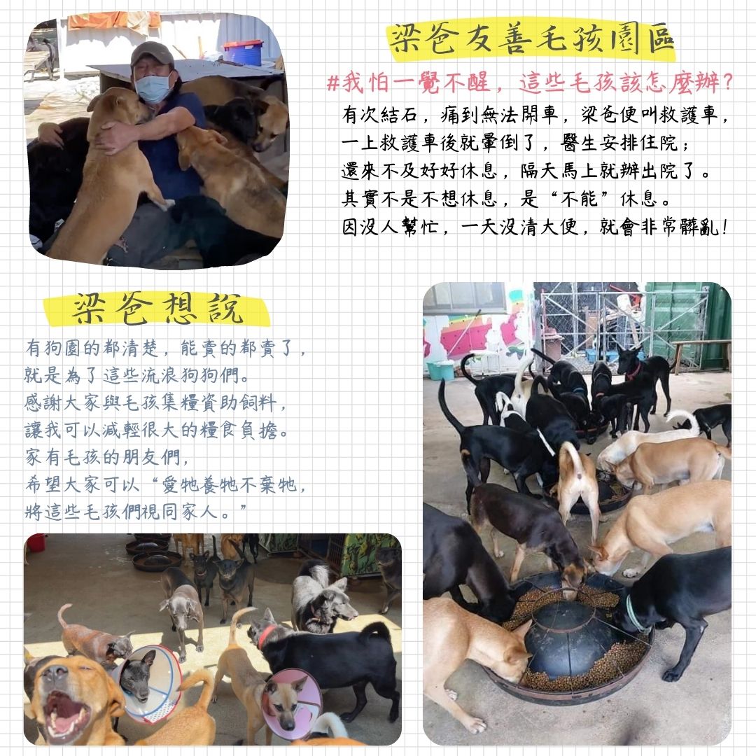 毛孩集糧❤️流浪狗集食計畫