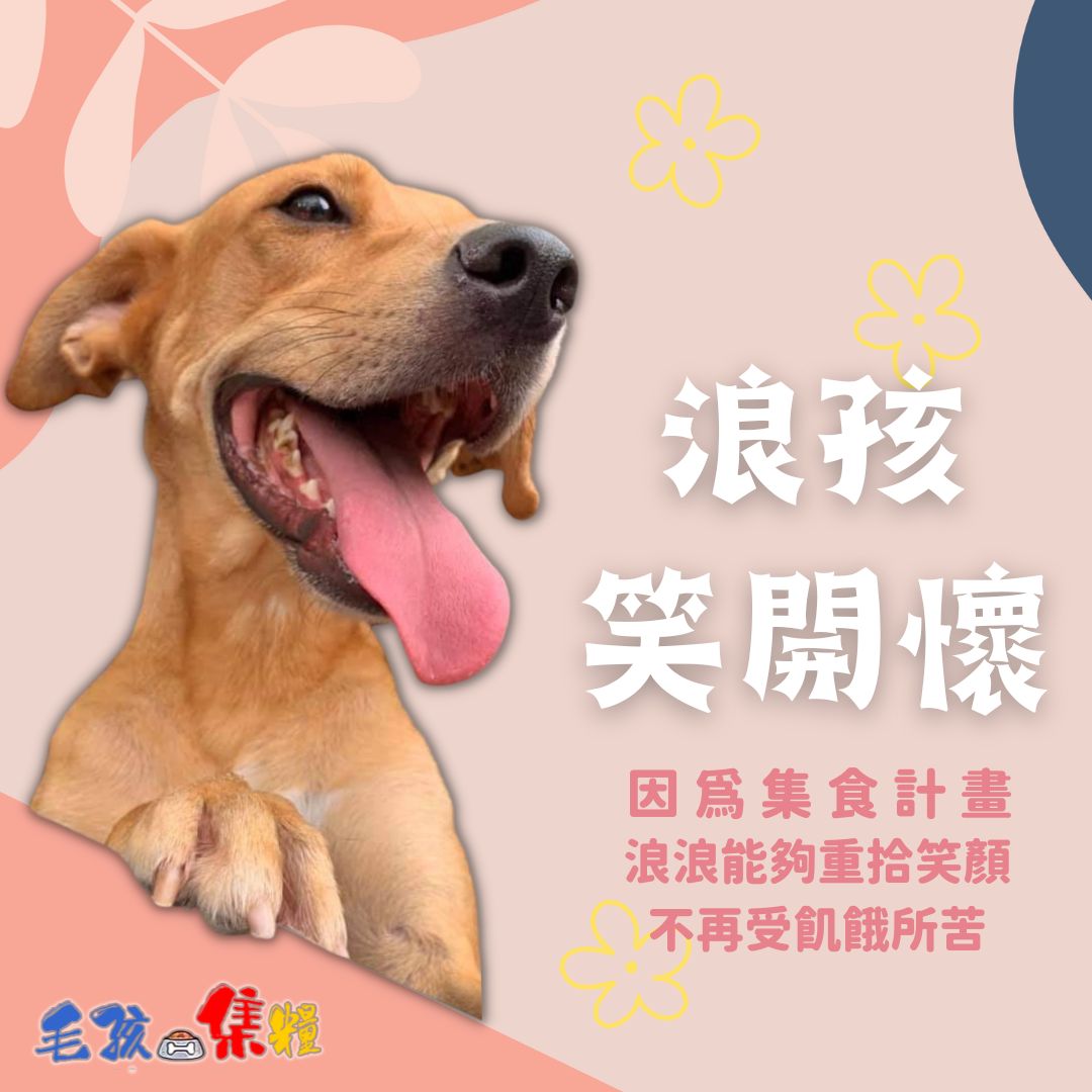 毛孩集糧❤️流浪狗集食計畫