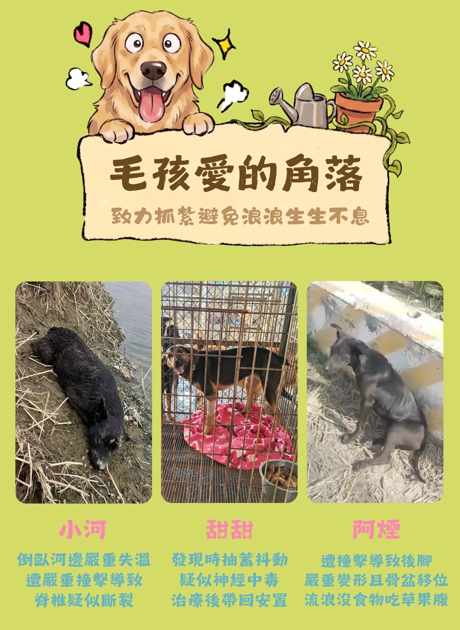 毛孩集糧❤️流浪狗集食計畫