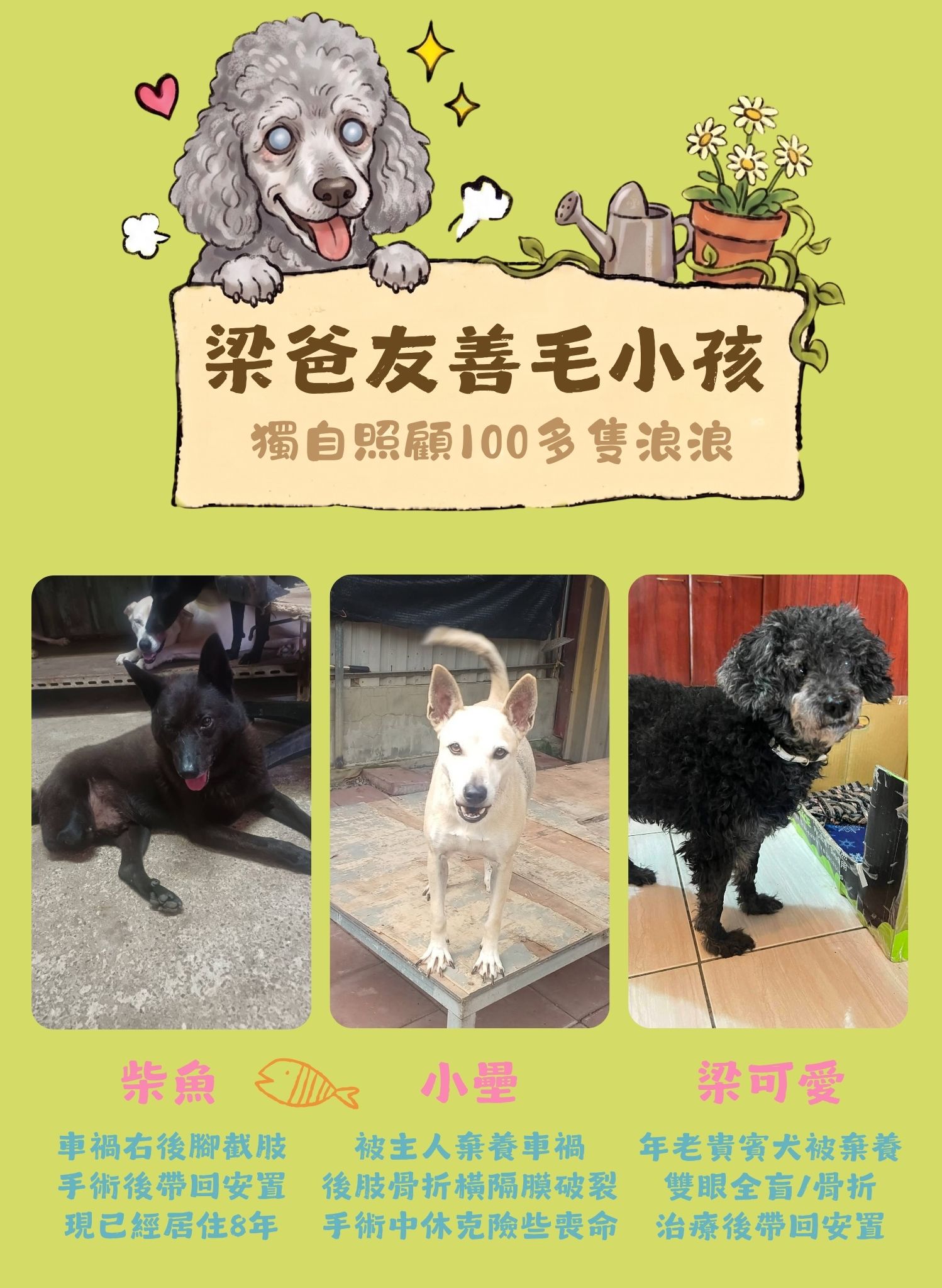 毛孩集糧❤️流浪狗集食計畫