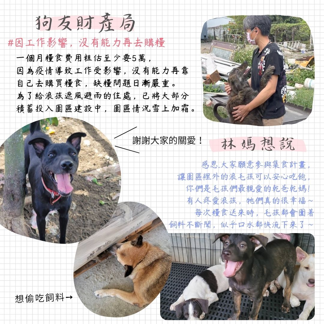 毛孩集糧❤️流浪狗集食計畫