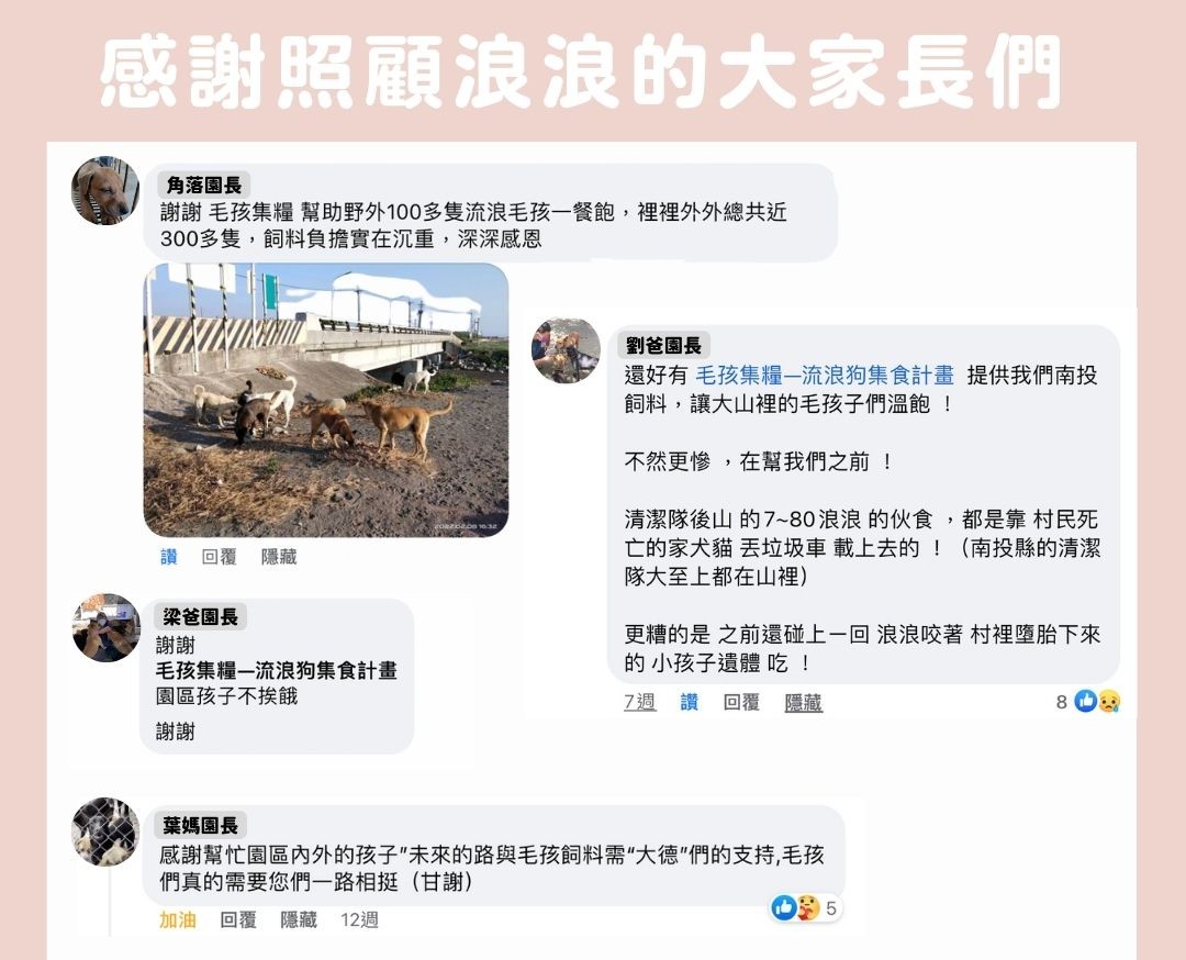 毛孩集糧❤️流浪狗集食計畫