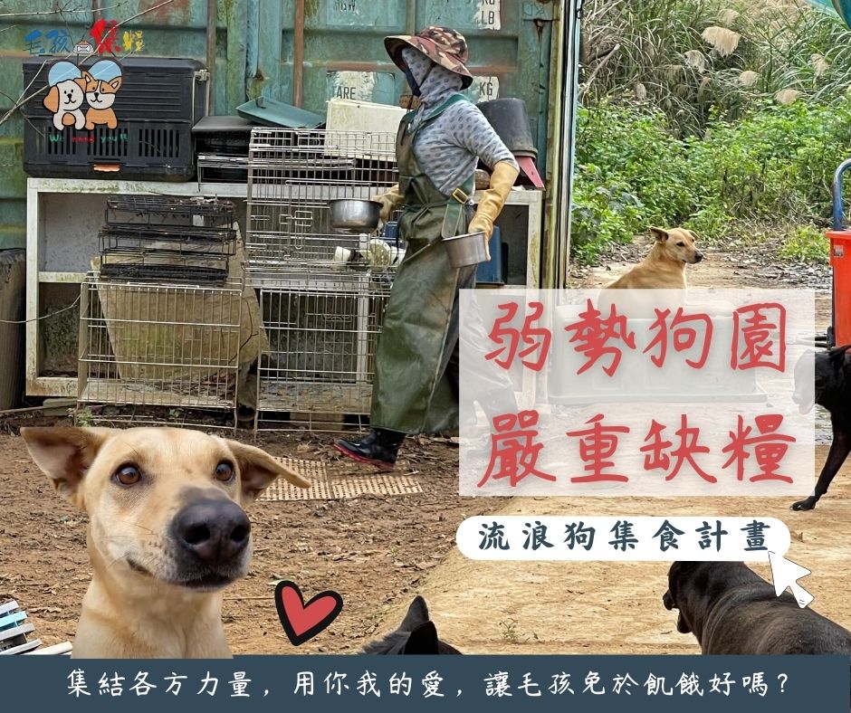 毛孩集糧❤️流浪狗集食計畫