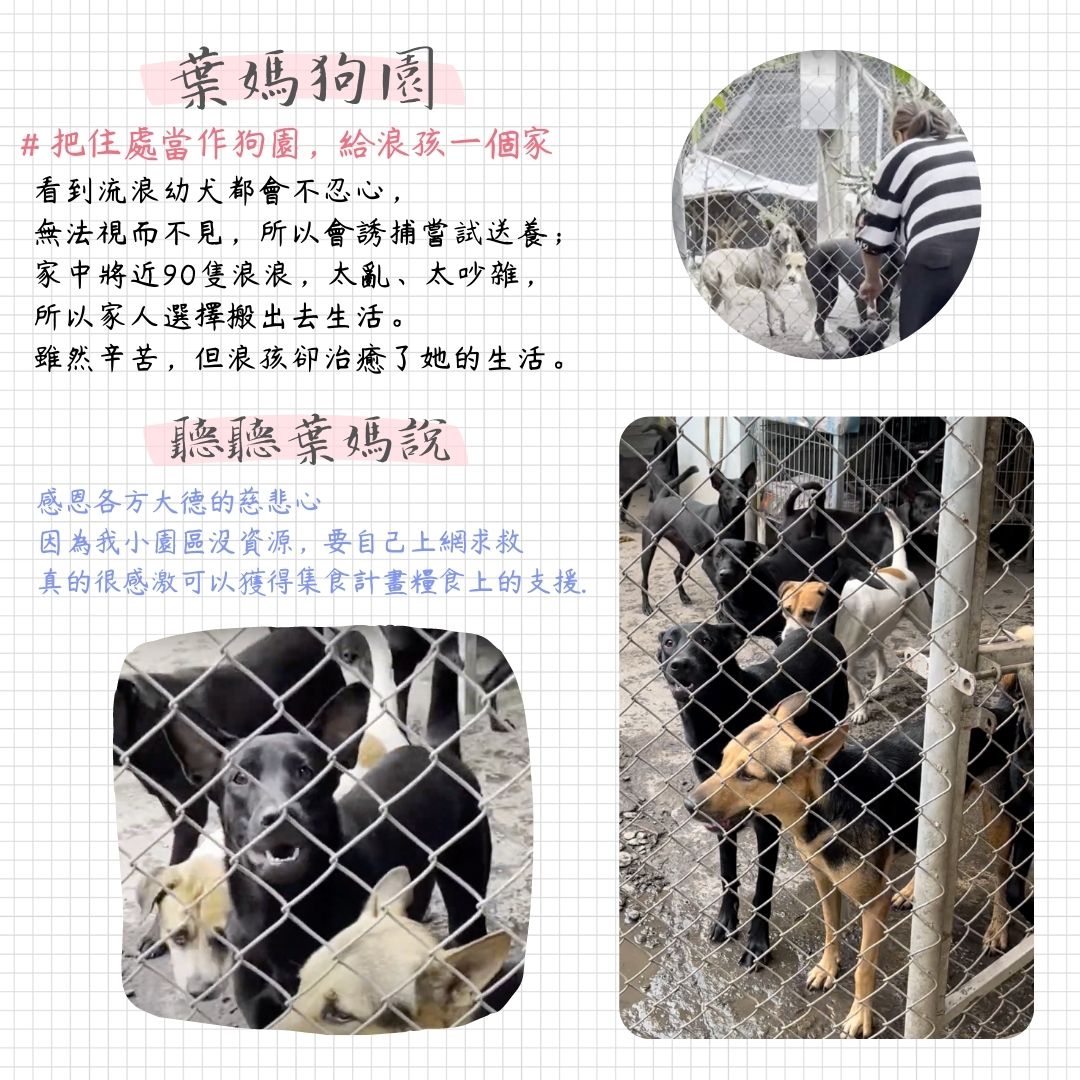 毛孩集糧❤️流浪狗集食計畫