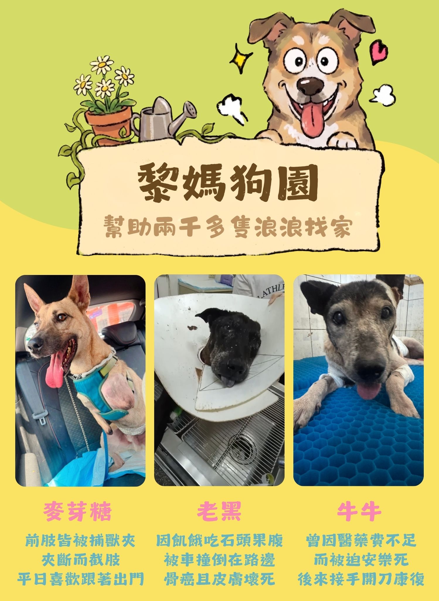 毛孩集糧❤️流浪狗集食計畫