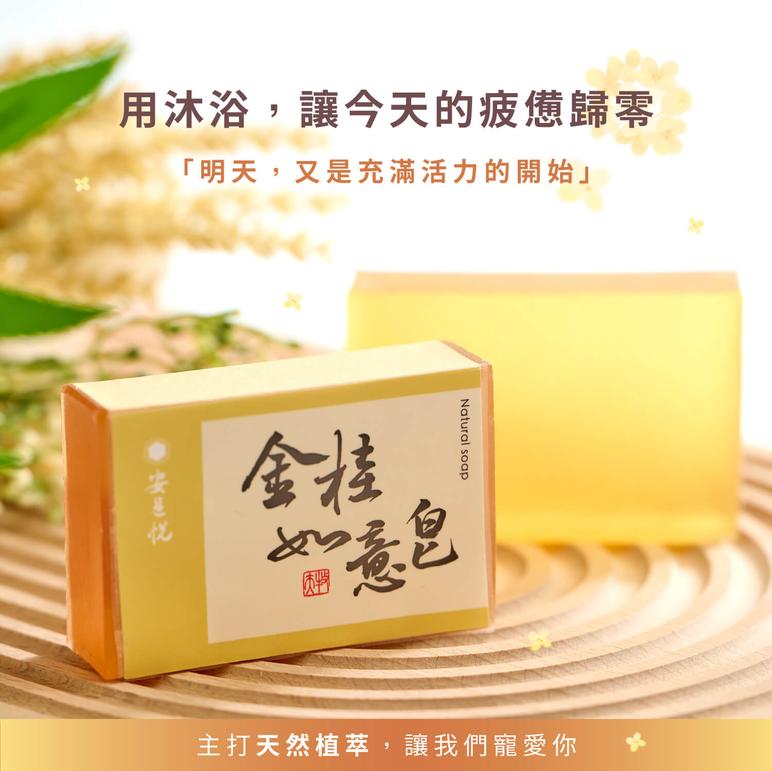 安邑悅植萃皂牛樟芝、琉璃光、潔淨茶柚、招福艾柚、一條根肥皂 安邑悅植萃皂牛樟芝、琉璃光、潔淨茶柚、招福艾柚、一條根肥皂