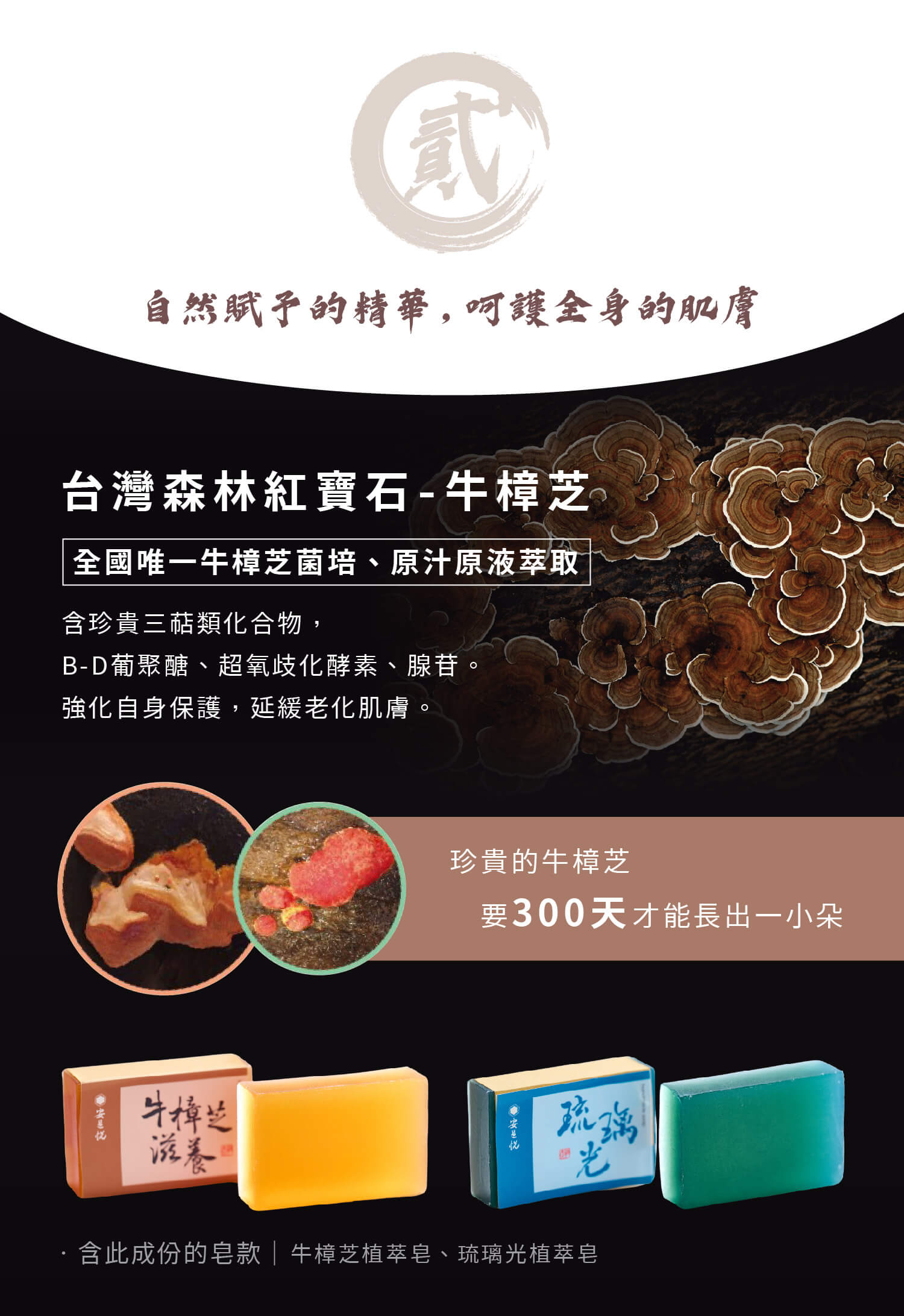 安邑悅植萃皂牛樟芝、琉璃光、潔淨茶柚、招福艾柚、一條根肥皂 安邑悅植萃皂牛樟芝、琉璃光、潔淨茶柚、招福艾柚、一條根肥皂
