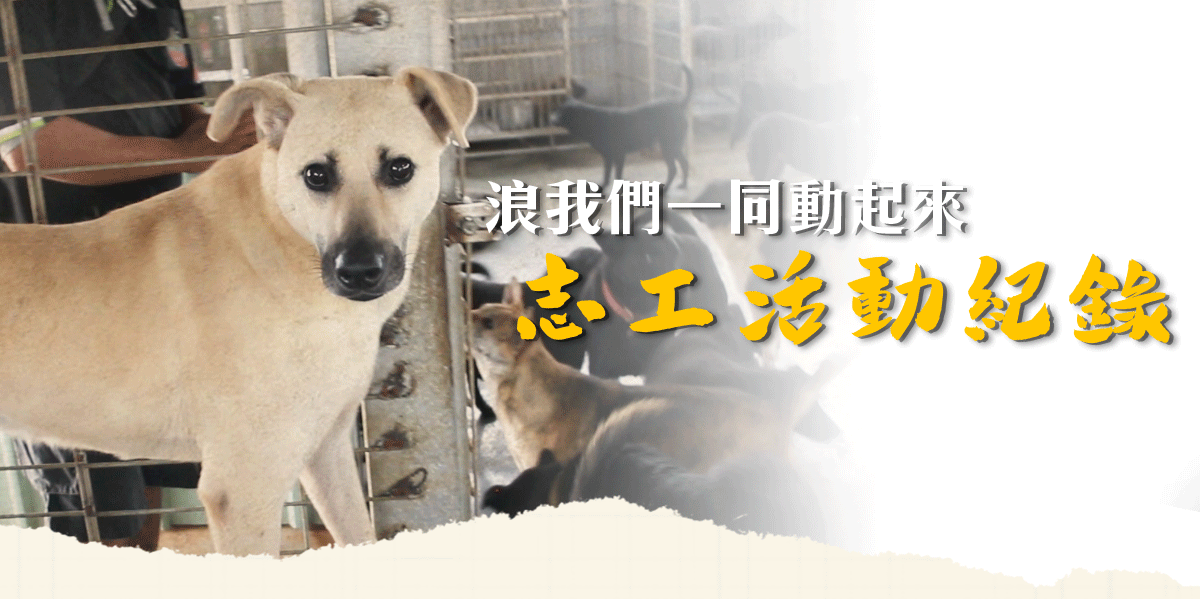 浪愛集食 讓愛延續