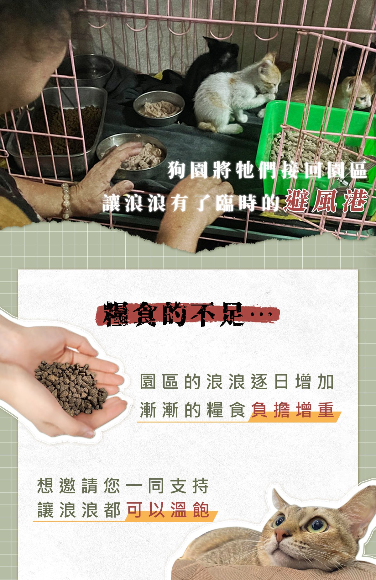 浪愛集食 讓愛延續