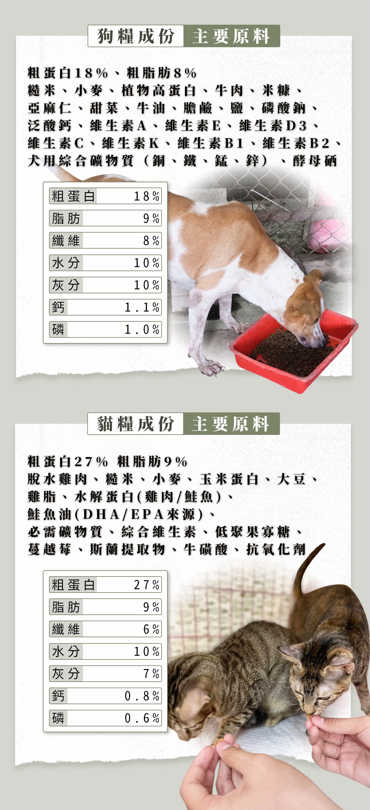 浪愛集食 讓愛延續