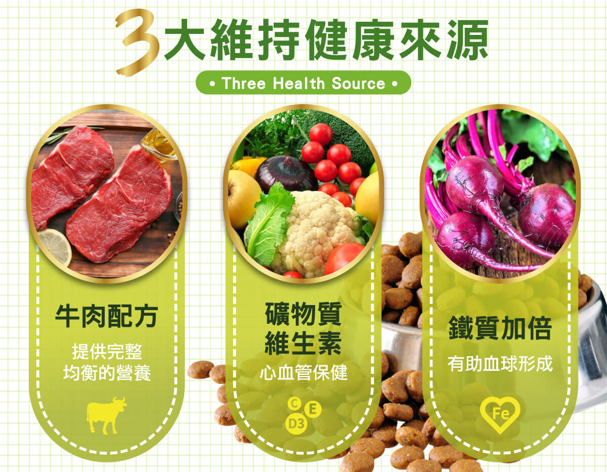 飽島計畫