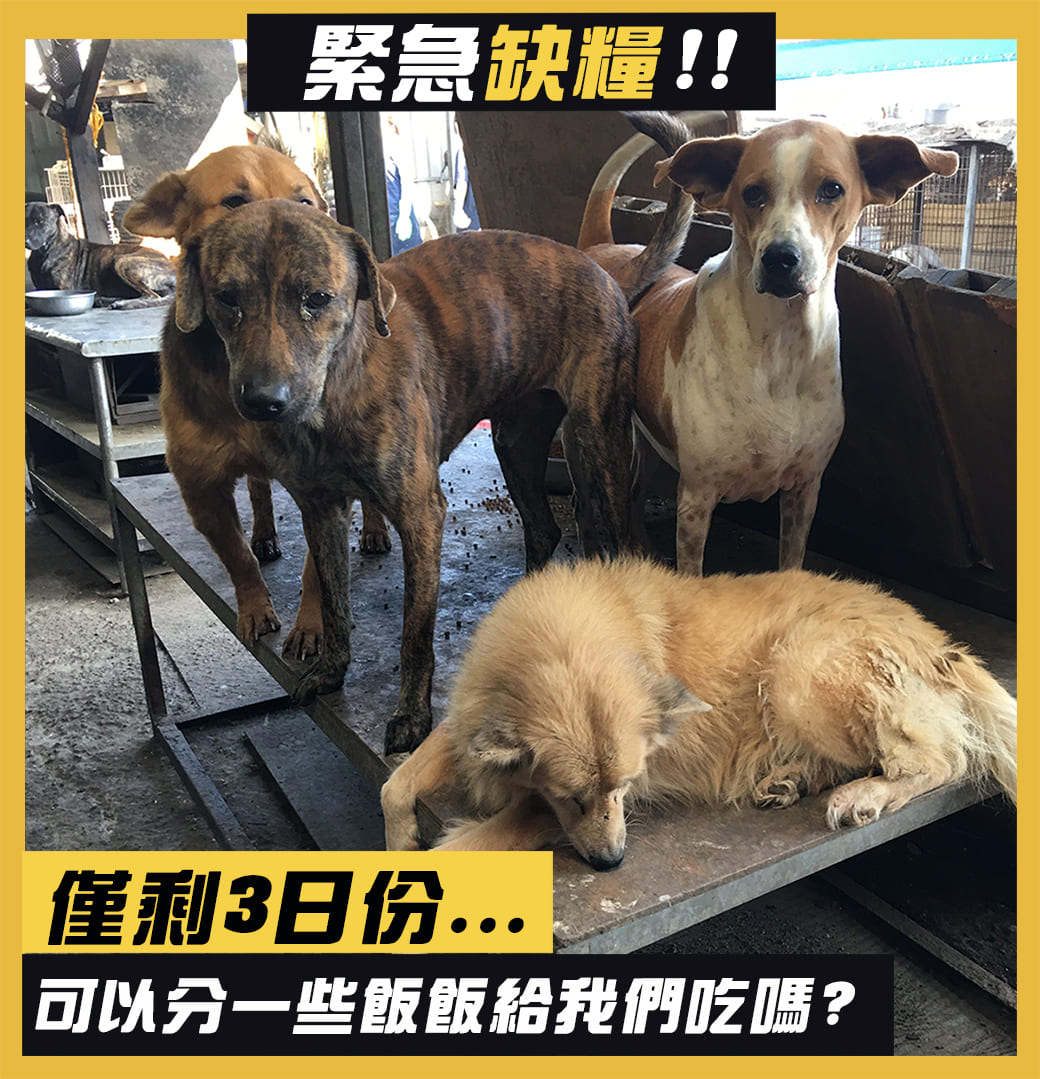浪愛集食 讓愛延續