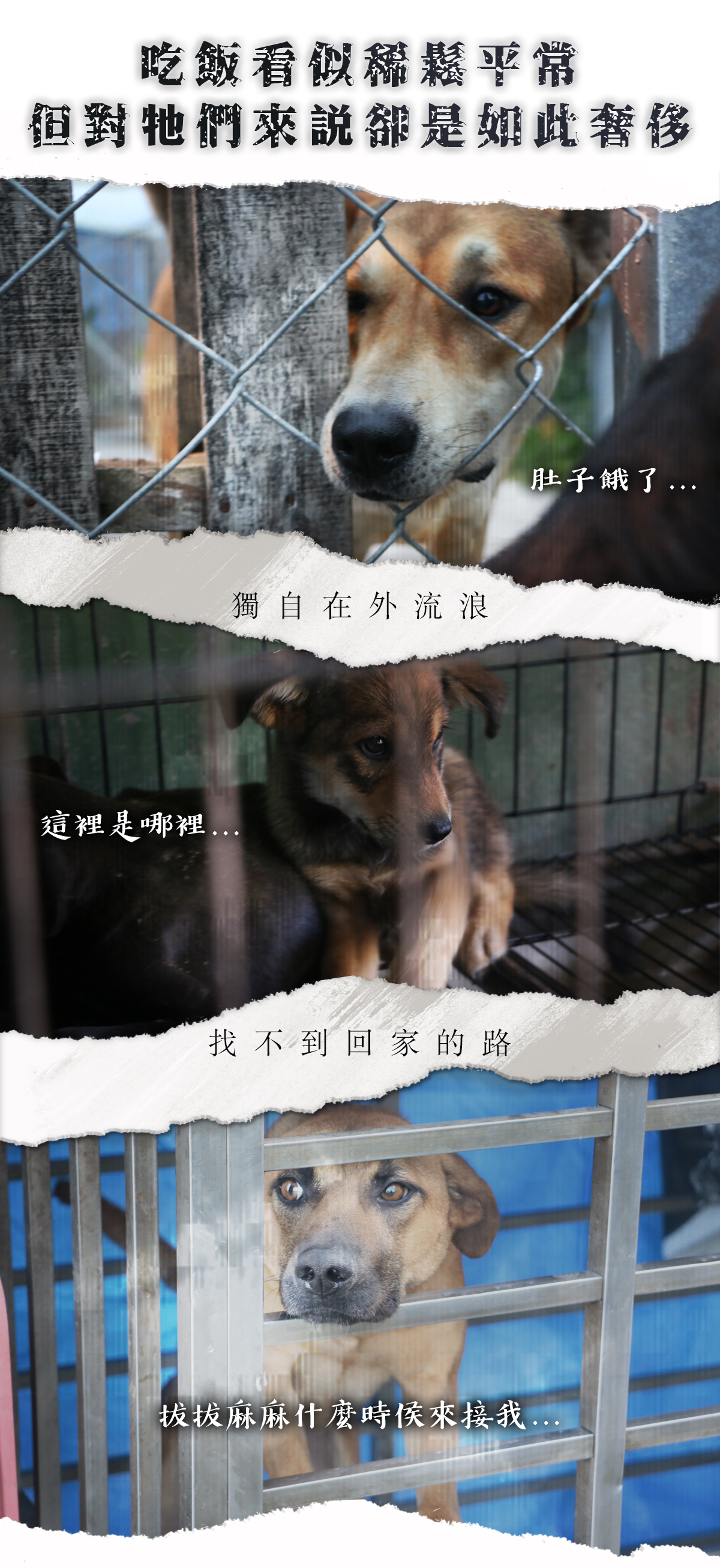 浪愛集食 讓愛延續