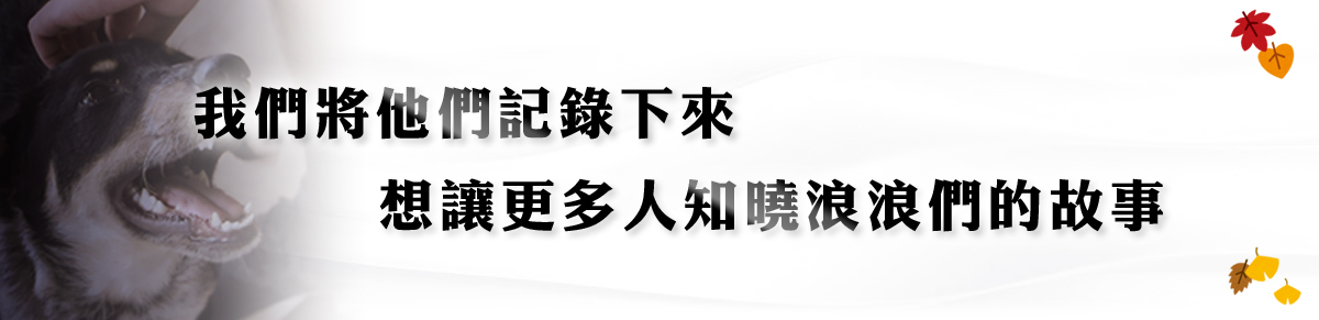 浪愛集食 讓愛延續