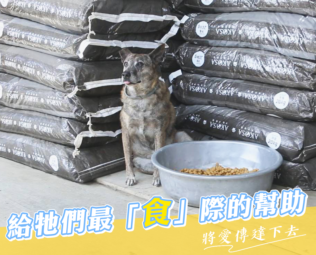 浪愛集食 讓愛延續