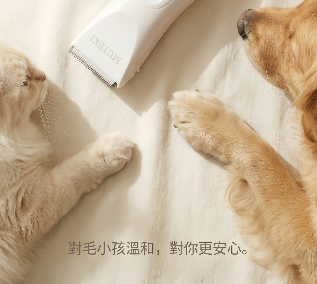 LUSÉN SENSE 璐森官方選品