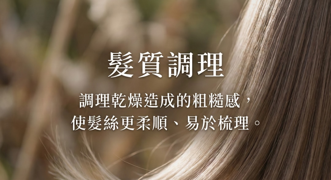 LUSÉN SENSE 璐森官方選品